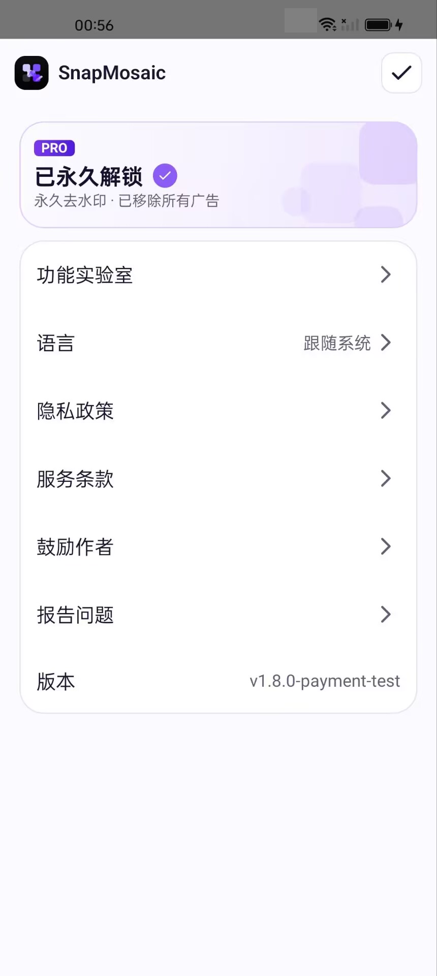 购买后的 Pro 状态